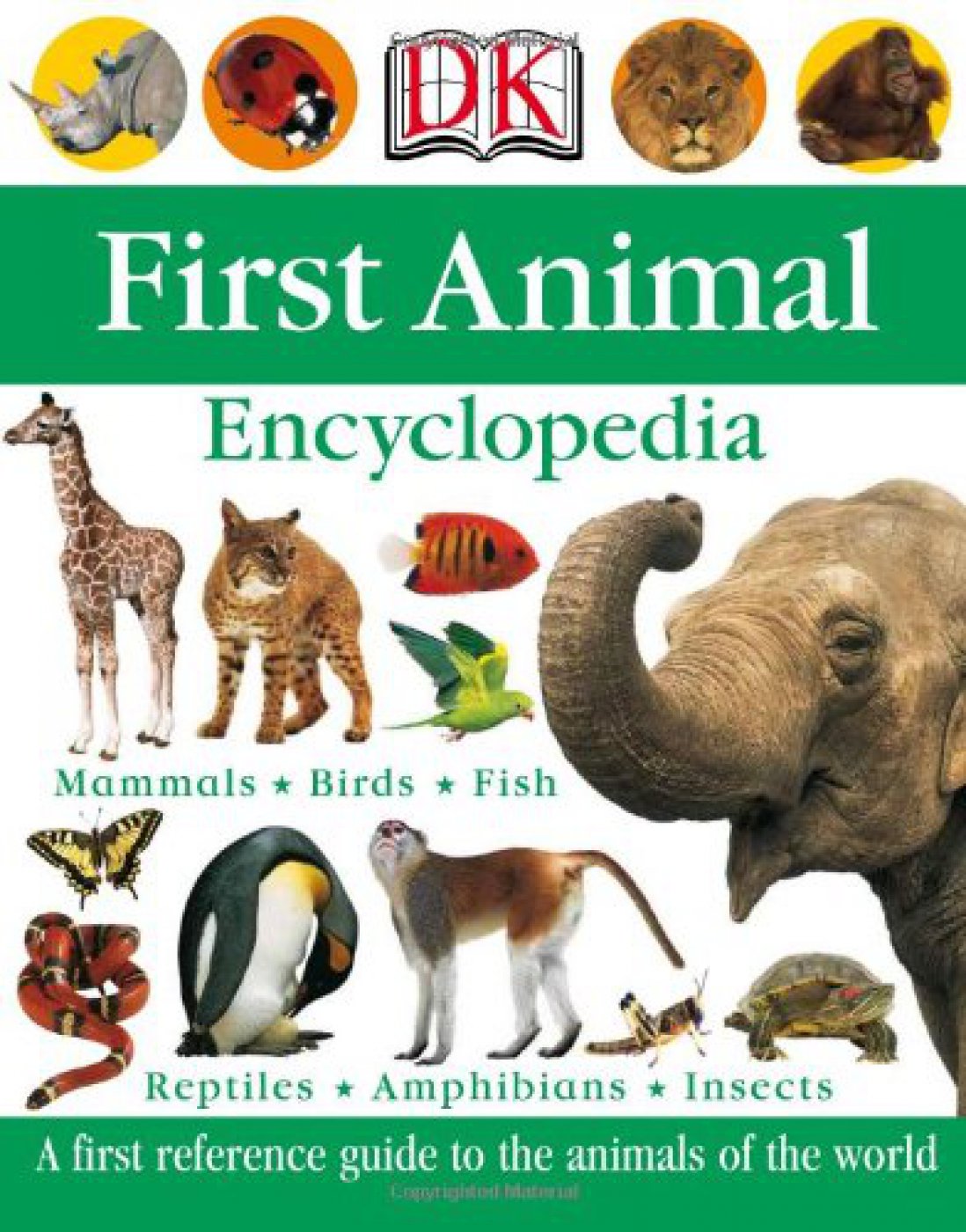 DK - First Animal Encyclopedia A First Reference Guide To The Animals Of  The World - Everything Kuwait