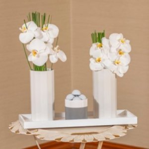 White Orchid