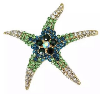 Starfish Brooch