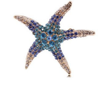 Blue Starfish Brooch