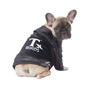 T-Birds Jacket Pet Costume Size M