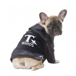 T-Birds Jacket Pet  Costume Size L