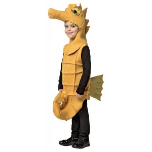 Seahorse boy Costume Size 4-6X