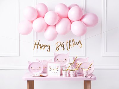 BOX Happy Birthday KITTY PARTY SET 55 Pieces