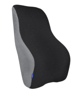 Back Cushion