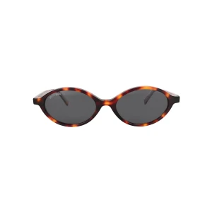 Quattro | Tortoise