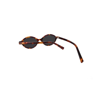 Quattro | Tortoise