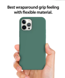 Araree Typo Skin Case For iPhone 12 Pro Max - Pine Green